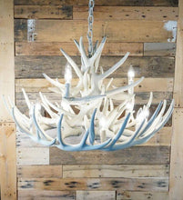 Charger l'image dans la galerie, Whitetail Deer 15 Antler Chandelier - Muskoka Fire Pits