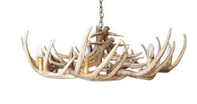 Charger l'image dans la galerie, Whitetail Deer 15 Wide Antler Chandelier - Muskoka Fire Pits