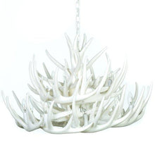 Charger l'image dans la galerie, Whitetail Deer 21 Antler Cascade Chandelier - Muskoka Fire Pits