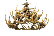 Charger l'image dans la galerie, Whitetail Deer 24 Antler Chandelier - Muskoka Fire Pits