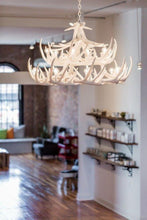 Charger l'image dans la galerie, Whitetail Deer 24 Antler Chandelier - Muskoka Fire Pits