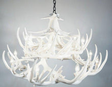 Charger l'image dans la galerie, Whitetail Deer 24 Antler Chandelier - Muskoka Fire Pits