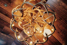 Charger l'image dans la galerie, Whitetail Deer 24 Antler Chandelier - Muskoka Fire Pits