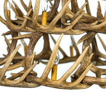 Charger l'image dans la galerie, Whitetail Deer 30 Antler Chandelier - Muskoka Fire Pits