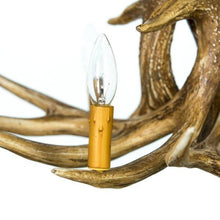 Charger l'image dans la galerie, Whitetail Deer 3 Antler Chandelier - Muskoka Fire Pits
