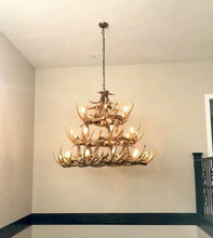 Charger l'image dans la galerie, Whitetail Deer 42 Antler Chandelier - Muskoka Fire Pits