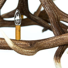 Charger l'image dans la galerie, Elk 6 Antler Chandelier - Muskoka Fire Pits