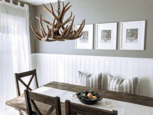 Charger l'image dans la galerie, Whitetail Deer 9 Antler Chandelier - Muskoka Fire Pits
