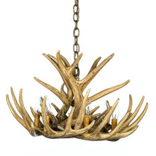 Charger l'image dans la galerie, Whitetail Deer 9 Antler Chandelier - Muskoka Fire Pits