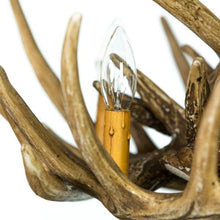 Charger l'image dans la galerie, Whitetail Deer 9 Antler Chandelier - Muskoka Fire Pits