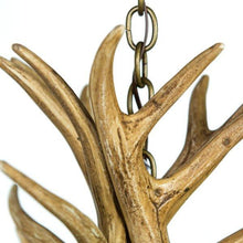 Charger l'image dans la galerie, Whitetail Deer 9 Antler Chandelier - Muskoka Fire Pits