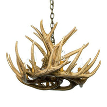 Charger l'image dans la galerie, Whitetail Deer 9 Antler Chandelier - Muskoka Fire Pits