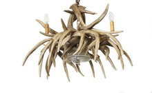 Charger l'image dans la galerie, Whitetail Deer 9 Antler Chandelier - Muskoka Fire Pits
