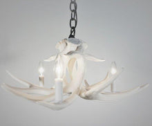 Charger l'image dans la galerie, Whitetail Deer 3 Antler Chandelier - Muskoka Fire Pits