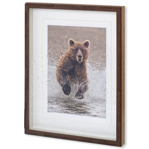 Graceful Grizzly- Artwork