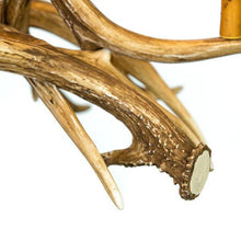 Charger l'image dans la galerie, Mule 4 Antler Chandelier - Muskoka Fire Pits