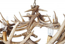 Load image into Gallery viewer, Whitetail Deer 15 Wide Antler Chandelier