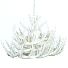 Load image into Gallery viewer, Whitetail Deer 21 Antler Cascade Chandelier