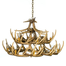 Load image into Gallery viewer, Whitetail Deer 24 Antler Chandelier