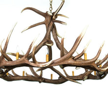 Load image into Gallery viewer, Elk 9 Antler Chandelier