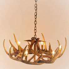 Load image into Gallery viewer, Whitetail Deer 9 Antler Chandelier