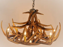 Load image into Gallery viewer, Whitetail Deer 12 Antler Chandelier