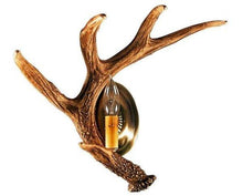Charger l'image dans la galerie, Whitetail Deer Left Antler Wall Sconce (Left or Right)