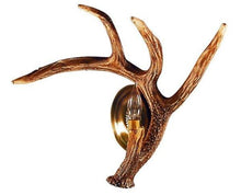 Charger l'image dans la galerie, Whitetail Deer Left Antler Wall Sconce (Left or Right)