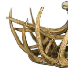 Load image into Gallery viewer, Whitetail Deer 10 Antler Chandelier with Downlights - Muskoka Fire Pits