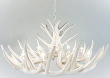 Load image into Gallery viewer, Whitetail Deer 12 Antler Cascade Chandelier - Muskoka Fire Pits