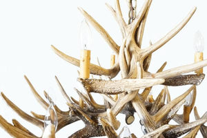 Whitetail Deer 15 Antler Chandelier - Muskoka Fire Pits