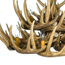 Load image into Gallery viewer, Whitetail Deer 21 Antler Cascade Chandelier - Muskoka Fire Pits