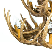 Load image into Gallery viewer, Whitetail Deer 24 Antler Chandelier - Muskoka Fire Pits