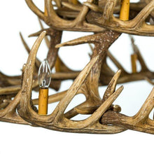 Charger l&#39;image dans la galerie, Whitetail Deer 30 Antler Chandelier - Muskoka Fire Pits