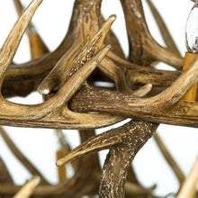 Load image into Gallery viewer, Whitetail Deer 30 Antler Chandelier - Muskoka Fire Pits