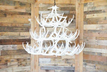 Charger l&#39;image dans la galerie, Whitetail Deer 42 Antler Chandelier - Muskoka Fire Pits