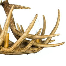 Load image into Gallery viewer, Whitetail Deer 6 Antler Chandelier - Muskoka Fire Pits