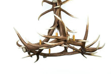 Load image into Gallery viewer, Elk 6 Antler Chandelier - Muskoka Fire Pits