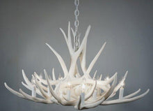 Charger l&#39;image dans la galerie, Mule Deer 9 Antler Chandelier - Muskoka Fire Pits