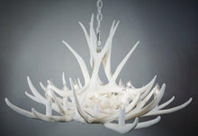 Charger l&#39;image dans la galerie, Mule Deer 9 Antler Chandelier - Muskoka Fire Pits