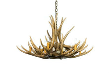 Charger l&#39;image dans la galerie, Mule Deer 9 Antler Chandelier - Muskoka Fire Pits