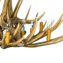 Charger l&#39;image dans la galerie, Mule Deer 9 Antler Chandelier - Muskoka Fire Pits