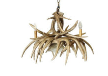 Load image into Gallery viewer, Whitetail Deer 9 Antler Chandelier - Muskoka Fire Pits