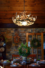 Charger l&#39;image dans la galerie, Whitetail Deer 12 Antler Chandelier - Muskoka Fire Pits