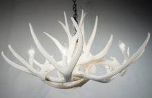 Charger l&#39;image dans la galerie, Mule Deer 6 Antler Chandelier - Muskoka Fire Pits