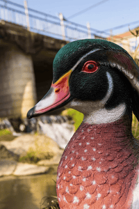 Wood Duck Statue - Muskoka Fire Pits