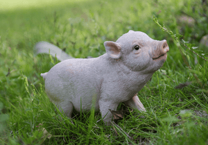 Standing Baby Pig Statue - Muskoka Fire Pits