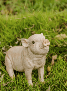 Sitting Baby Pig Statue - Muskoka Fire Pits