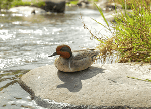 Small Mallard Statue (green wing) - Muskoka Fire Pits