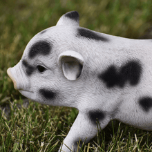 Load image into Gallery viewer, Baby Spotted Pig Statue - Muskoka Fire Pits